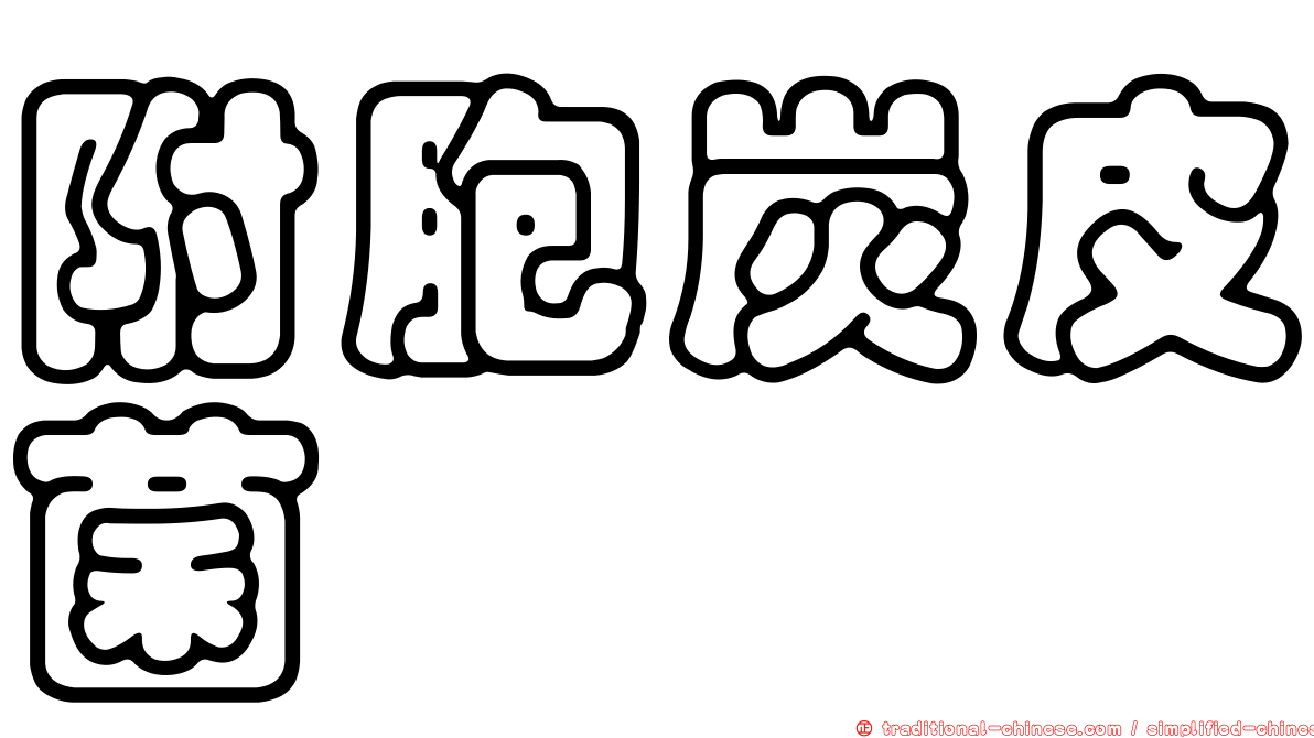 附胞炭皮菌