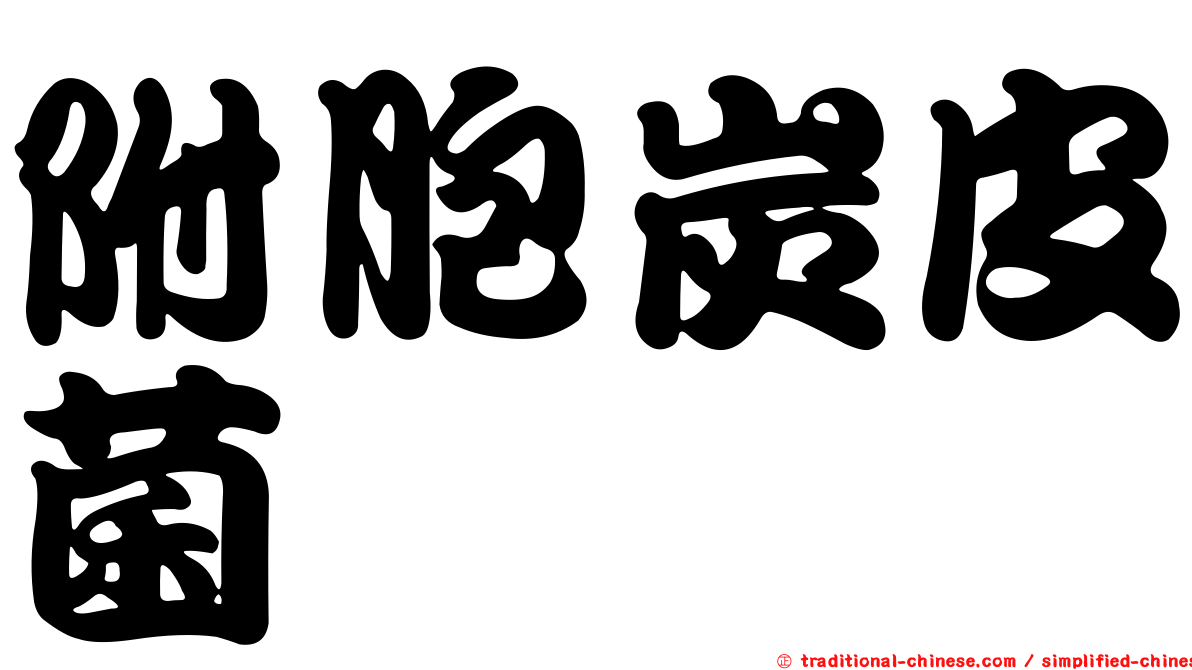附胞炭皮菌