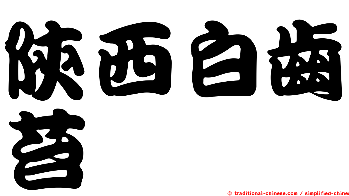 陝西白齒苔