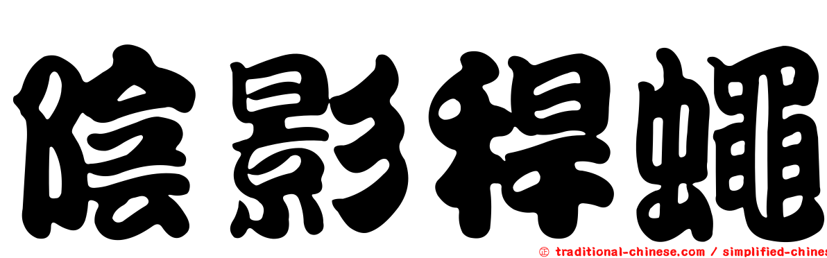 陰影稈蠅