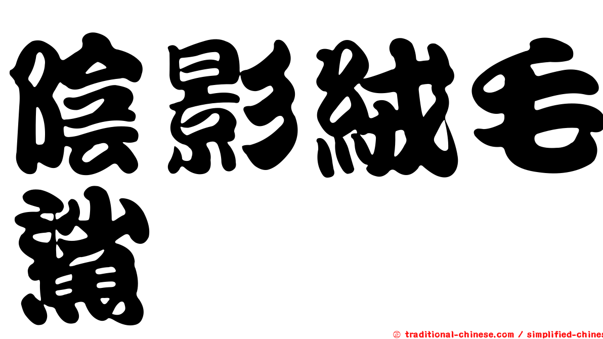 陰影絨毛鯊