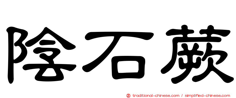 陰石蕨