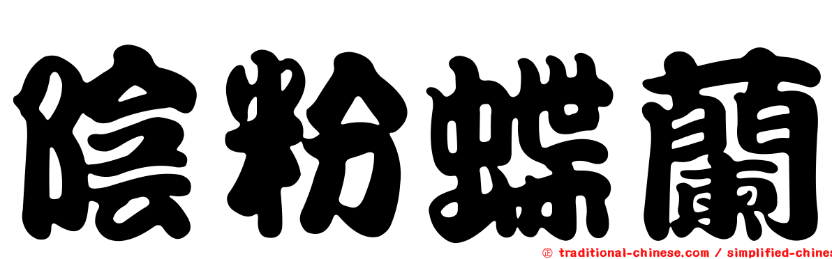 陰粉蝶蘭