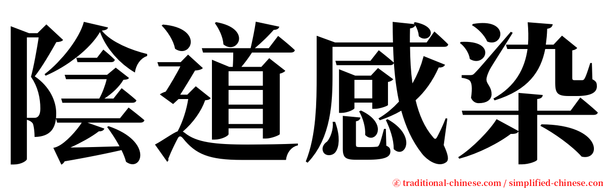 陰道感染 serif font