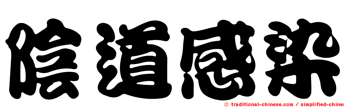 陰道感染