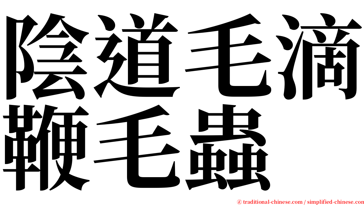 陰道毛滴鞭毛蟲 serif font