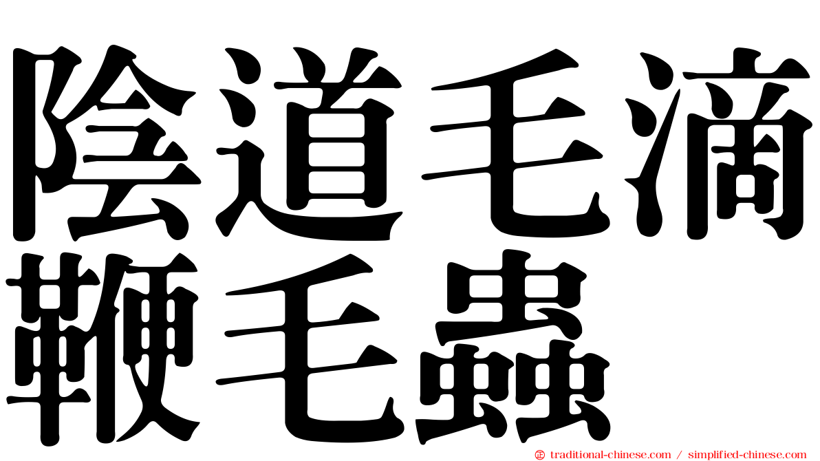 陰道毛滴鞭毛蟲