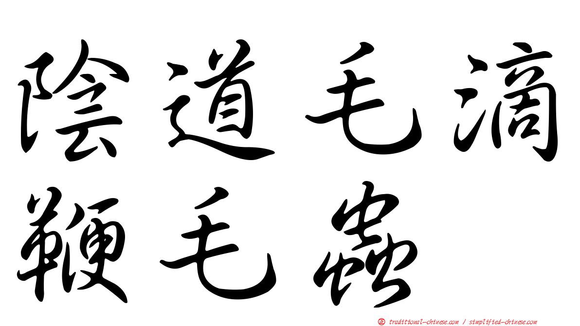 陰道毛滴鞭毛蟲