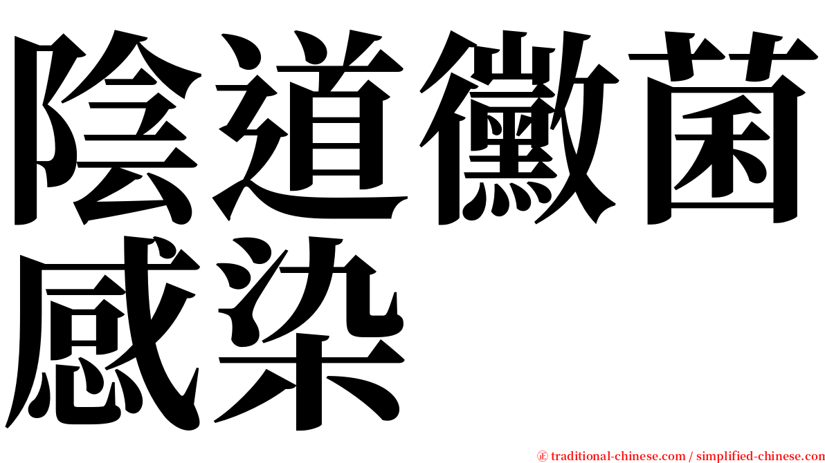陰道黴菌感染 serif font