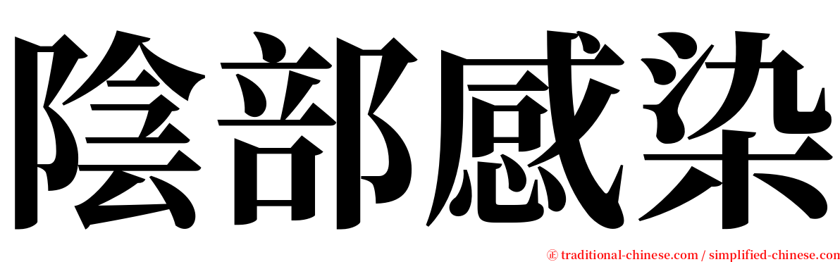 陰部感染 serif font