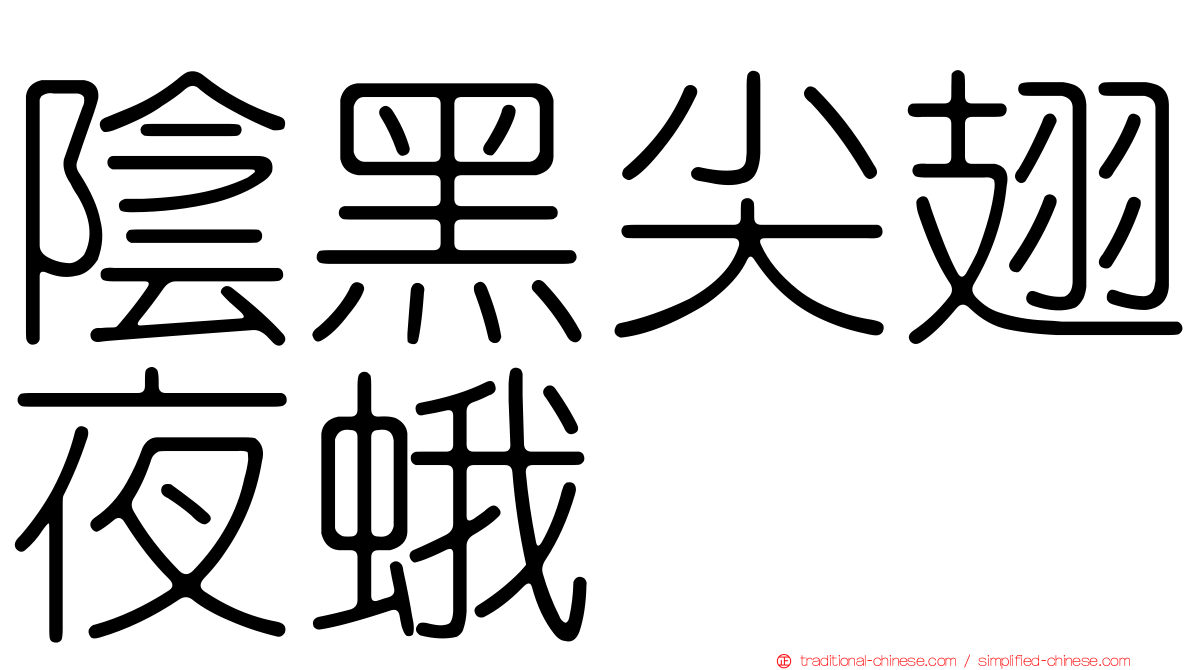 陰黑尖翅夜蛾
