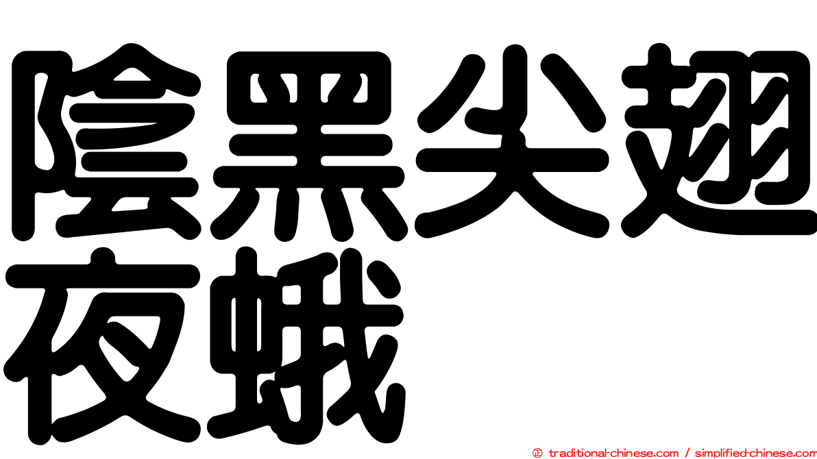 陰黑尖翅夜蛾