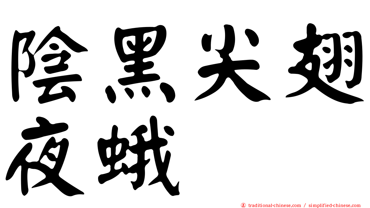 陰黑尖翅夜蛾