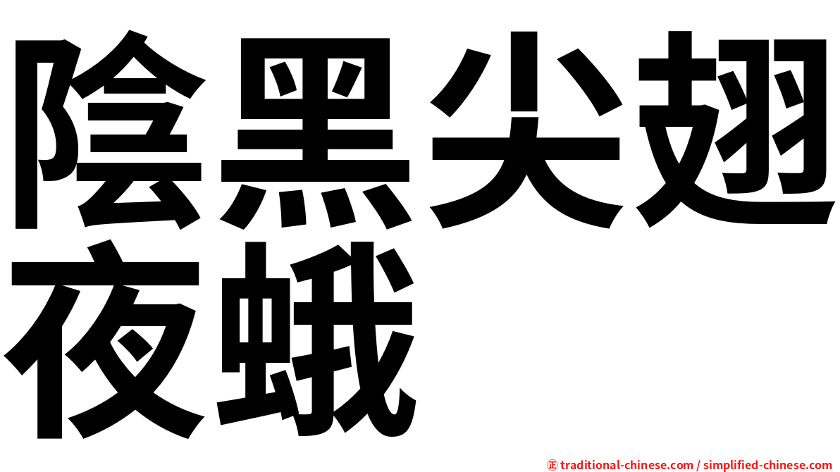 陰黑尖翅夜蛾