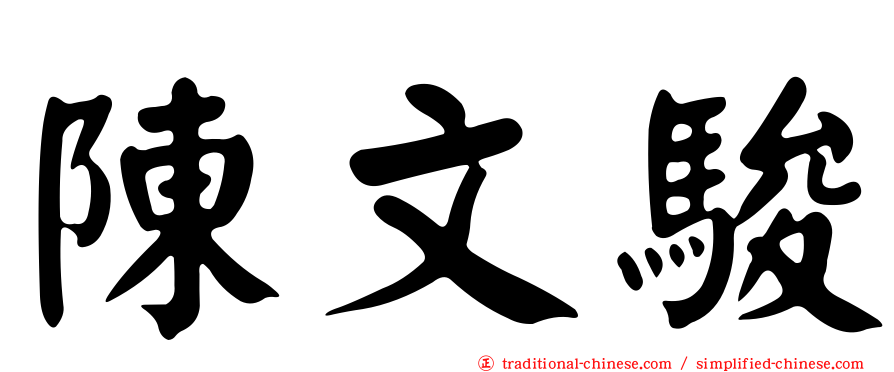 陳文駿