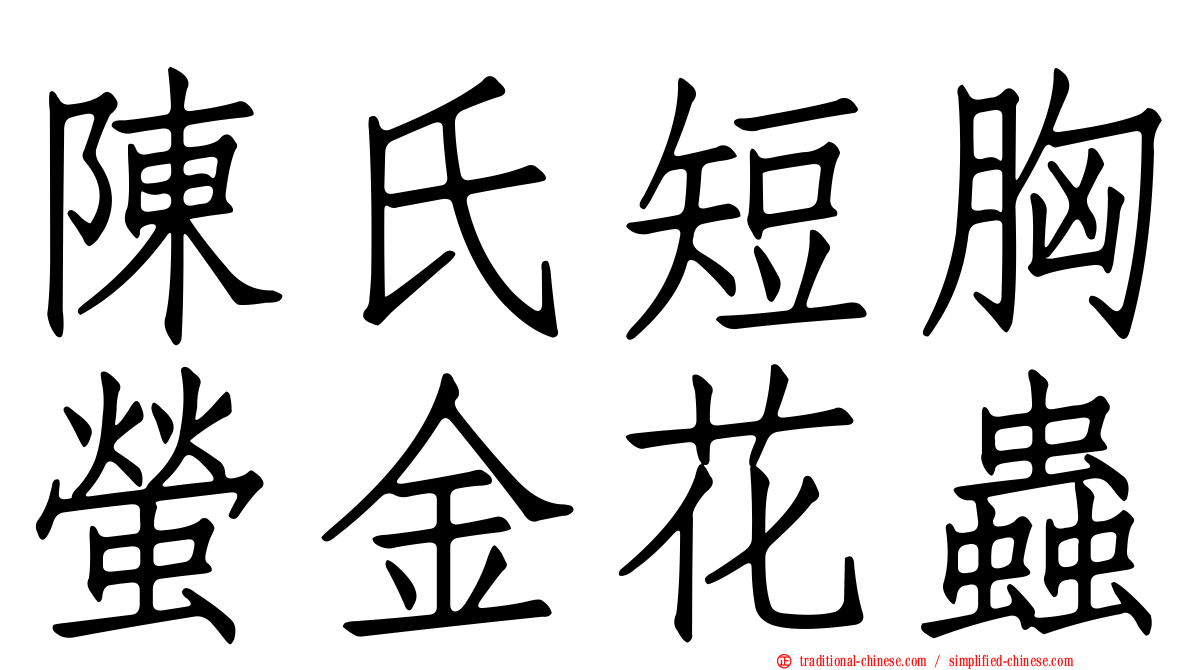 陳氏短胸螢金花蟲