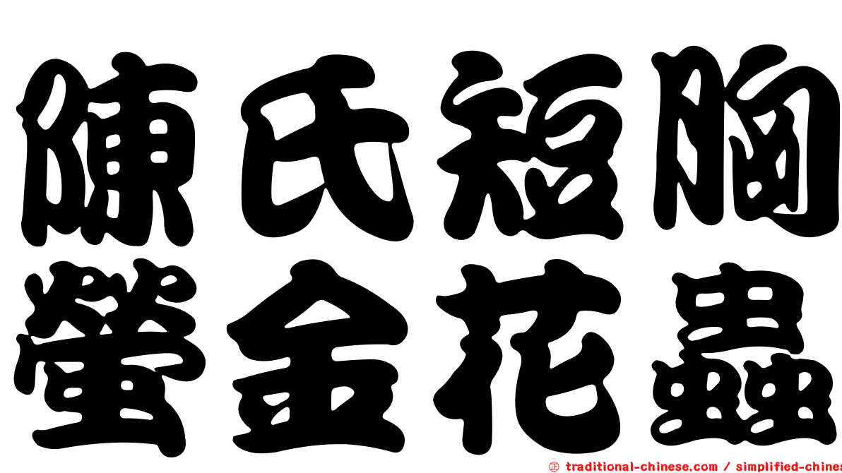 陳氏短胸螢金花蟲