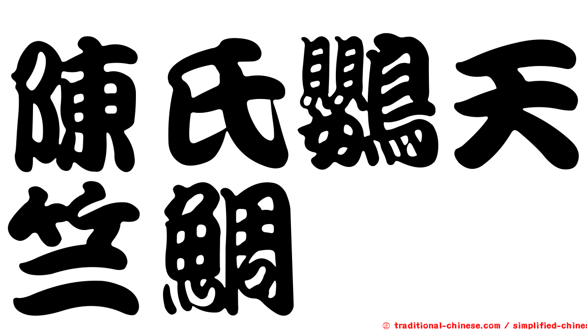 陳氏鸚天竺鯛