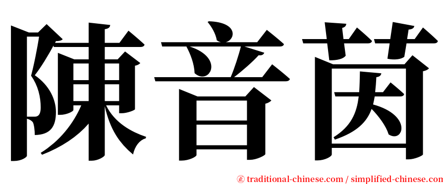 陳音茵 serif font