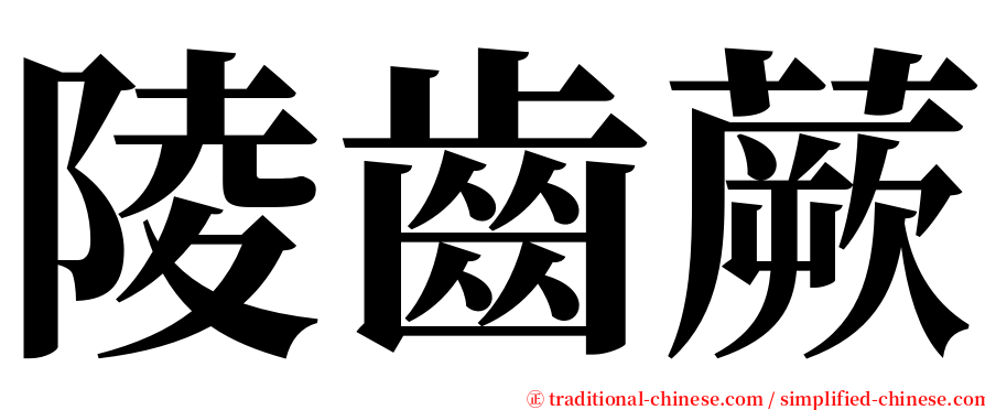 陵齒蕨 serif font