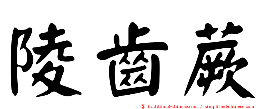 陵齒蕨