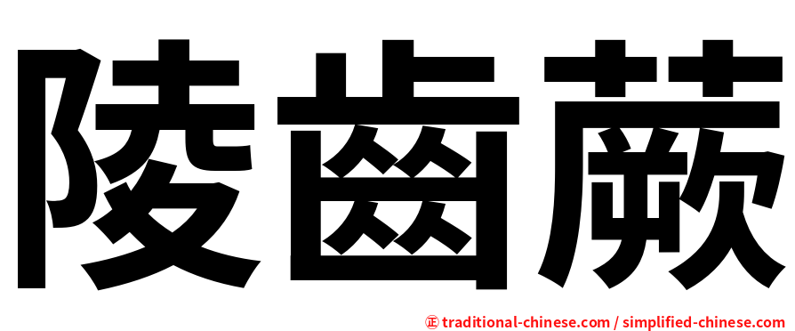 陵齒蕨