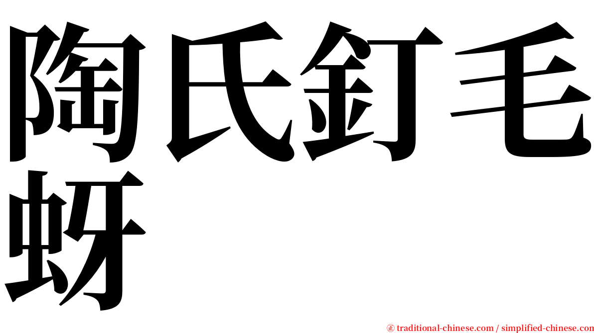 陶氏釘毛蚜 serif font
