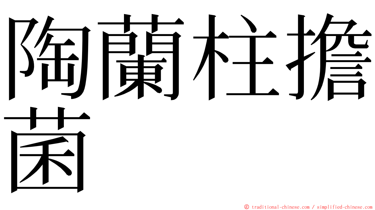 陶蘭柱擔菌 ming font