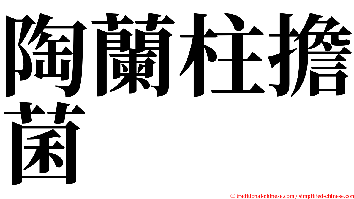 陶蘭柱擔菌 serif font