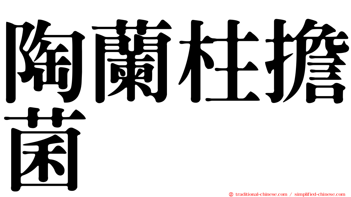 陶蘭柱擔菌