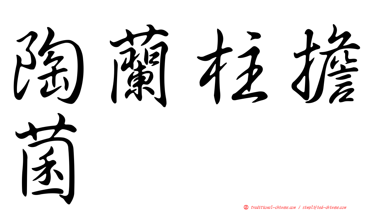 陶蘭柱擔菌
