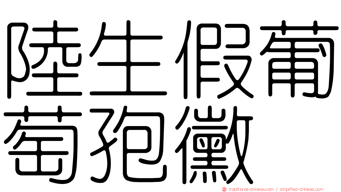 陸生假葡萄孢黴