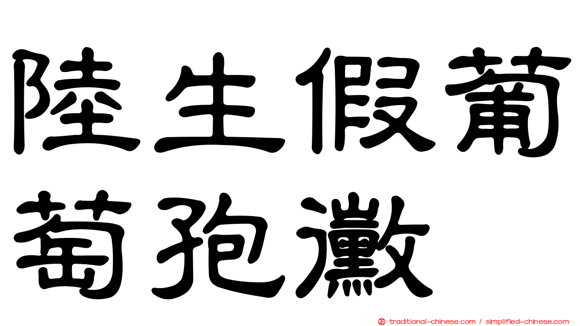 陸生假葡萄孢黴