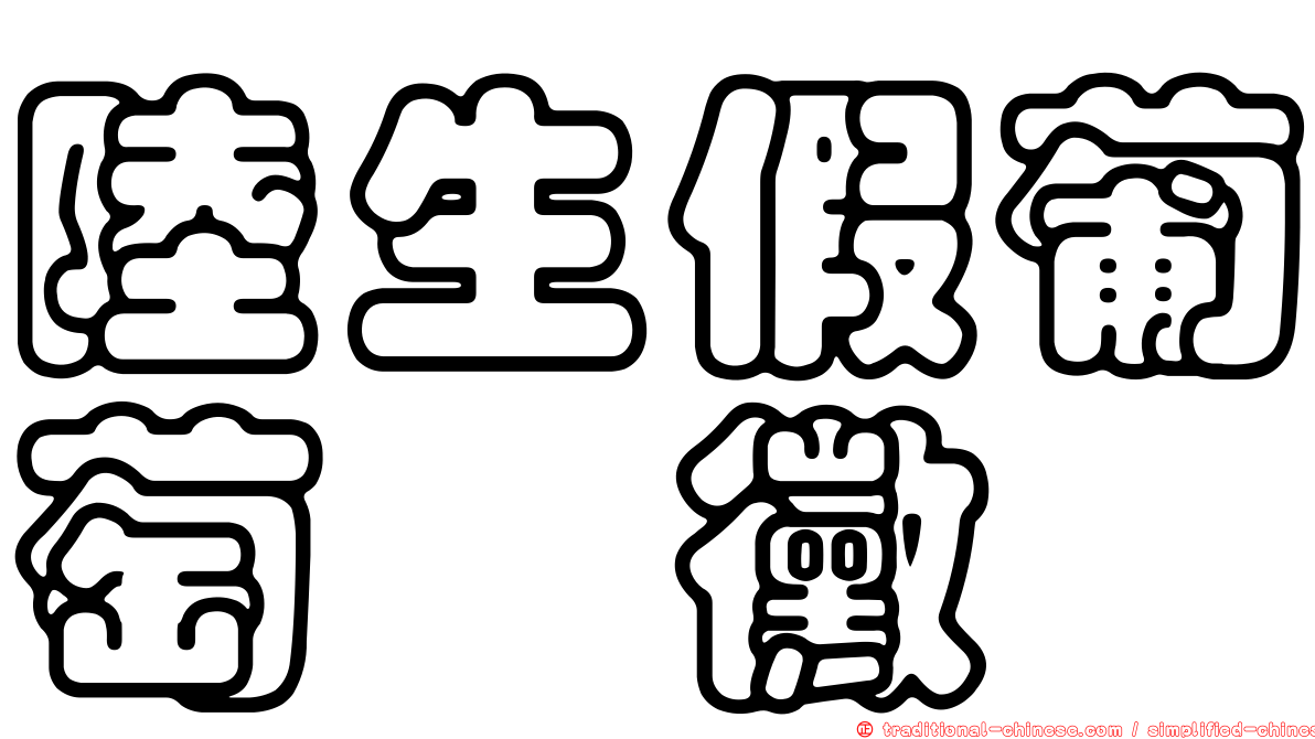 陸生假葡萄孢黴
