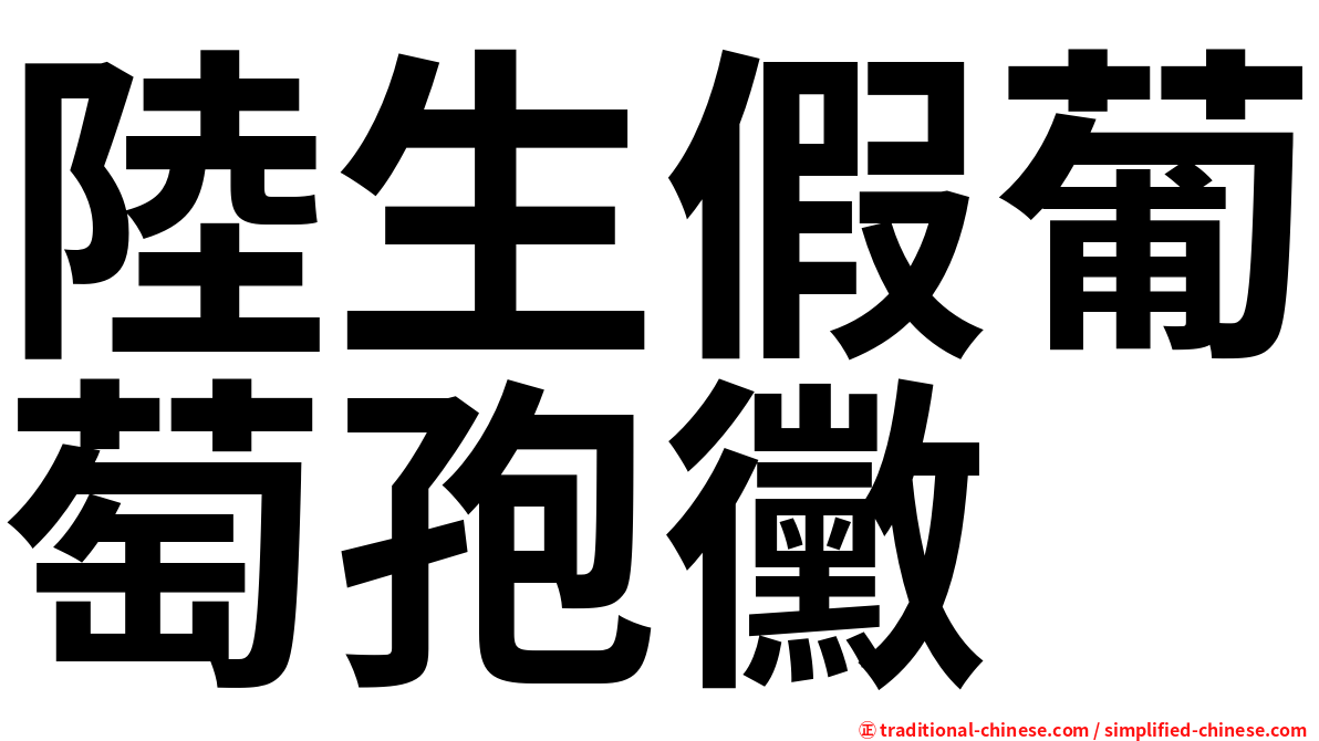 陸生假葡萄孢黴