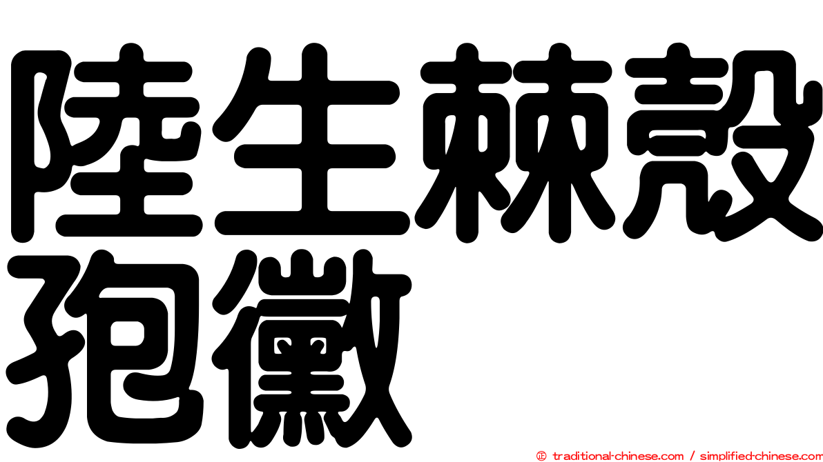 陸生棘殼孢黴