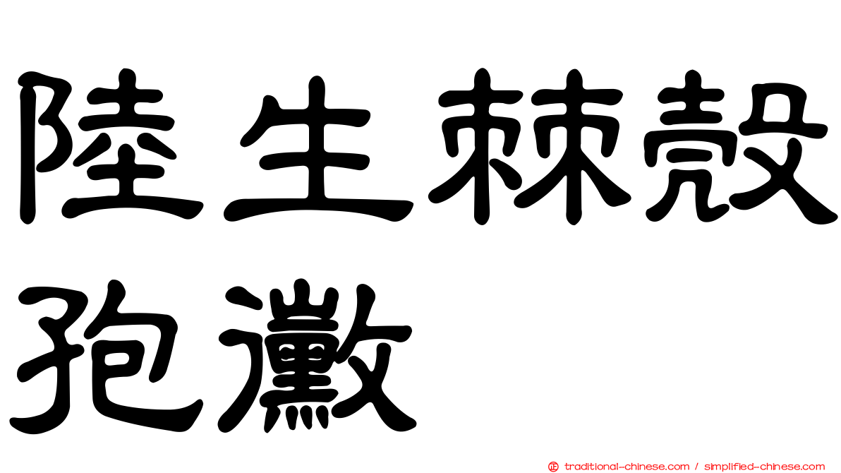 陸生棘殼孢黴