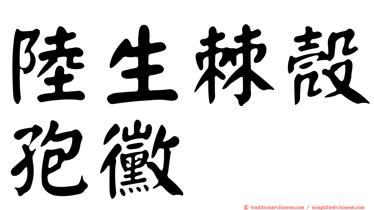 陸生棘殼孢黴