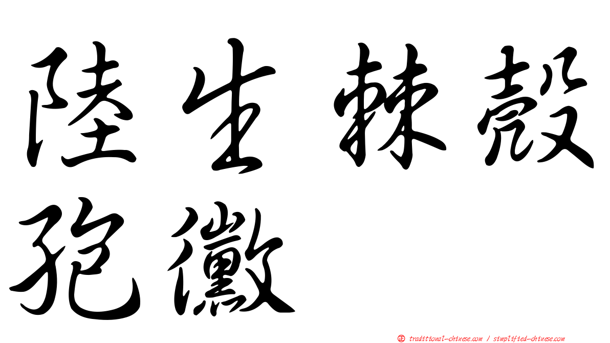 陸生棘殼孢黴