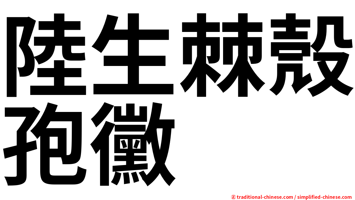 陸生棘殼孢黴