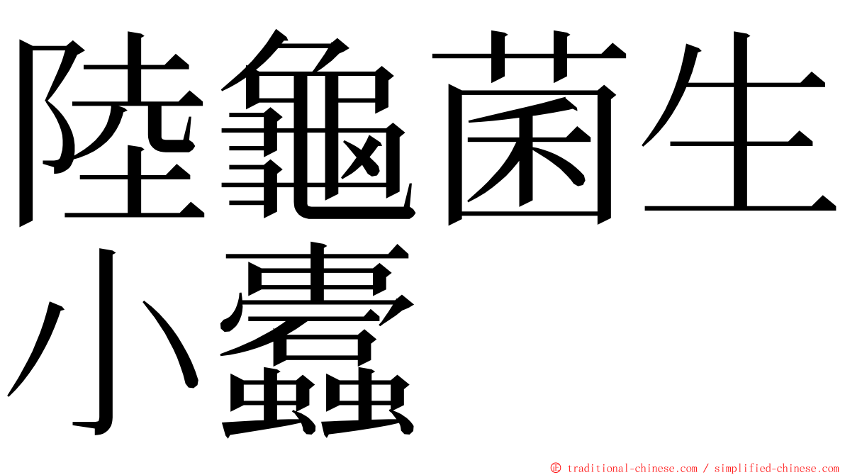 陸龜菌生小蠹 ming font