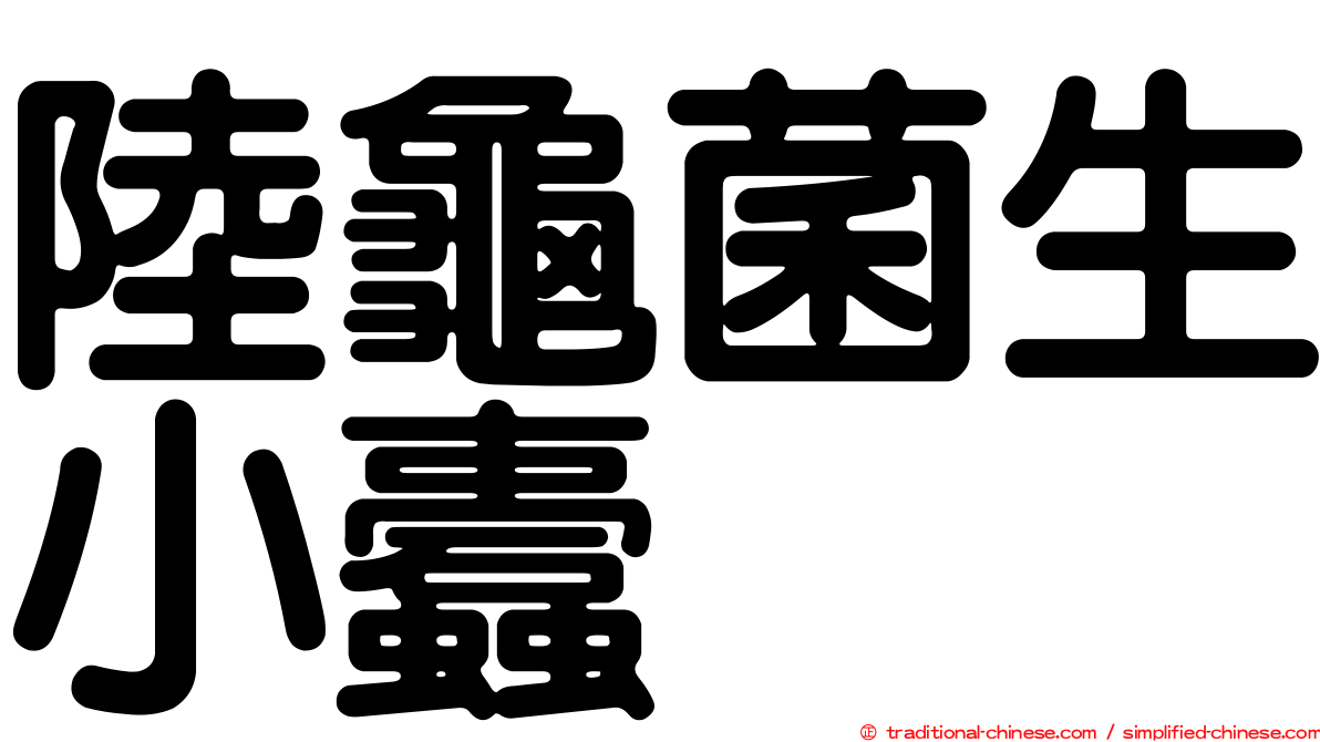 陸龜菌生小蠹