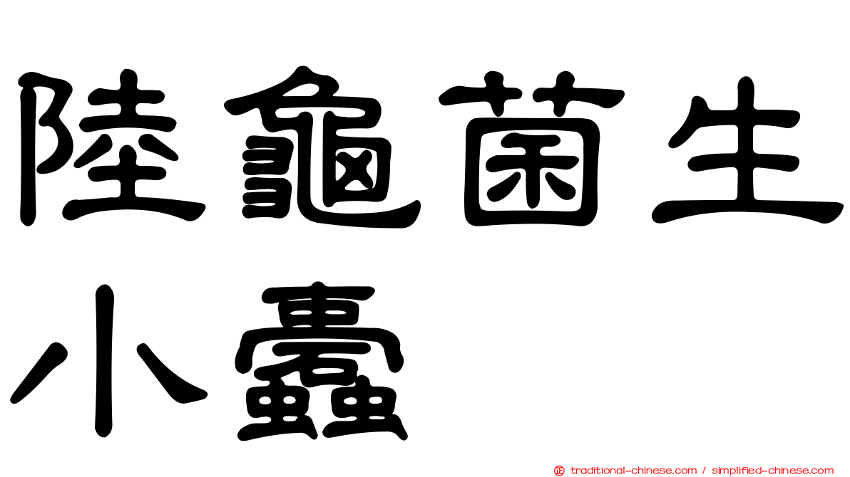 陸龜菌生小蠹