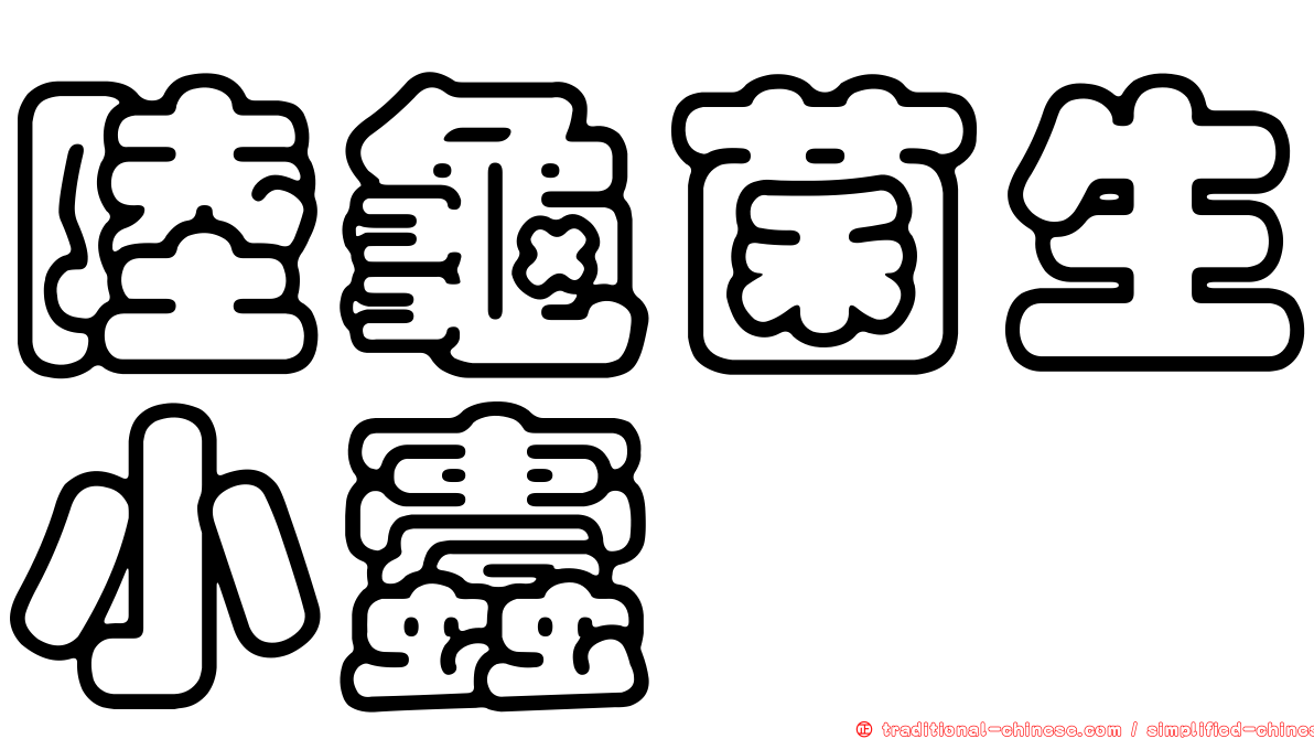 陸龜菌生小蠹