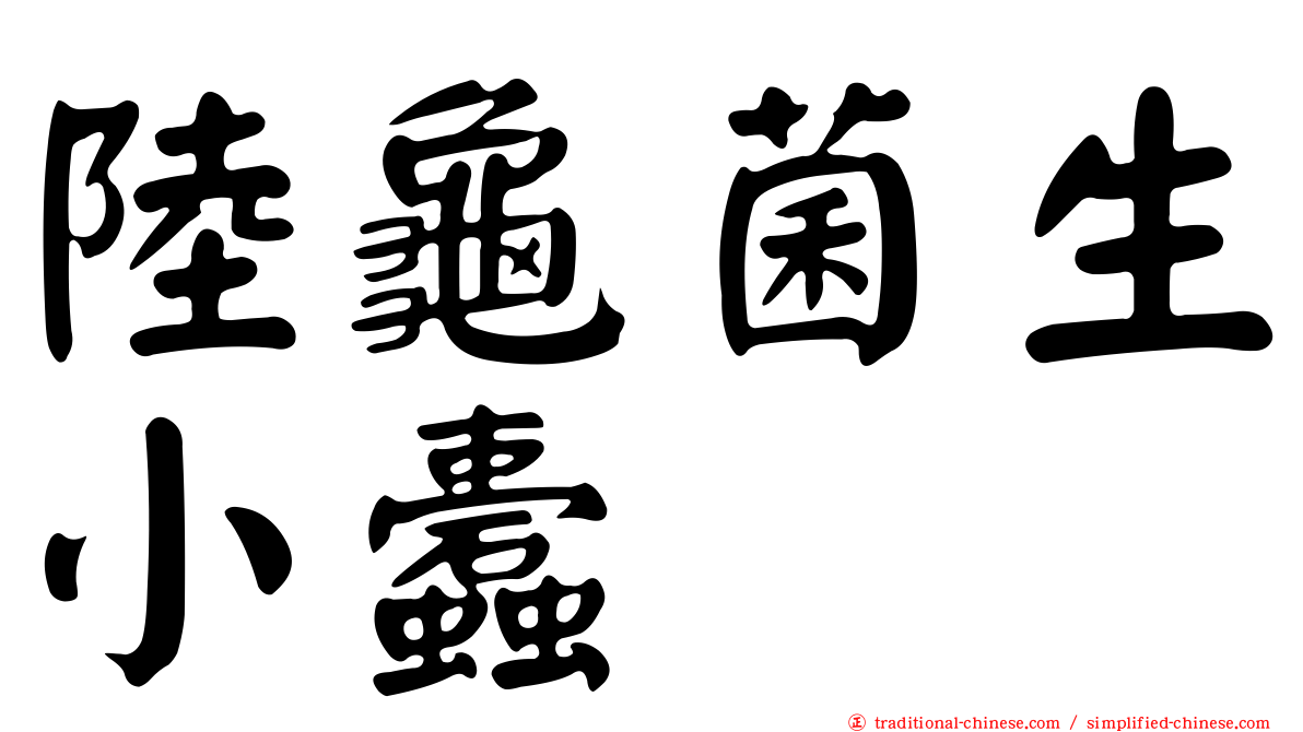 陸龜菌生小蠹
