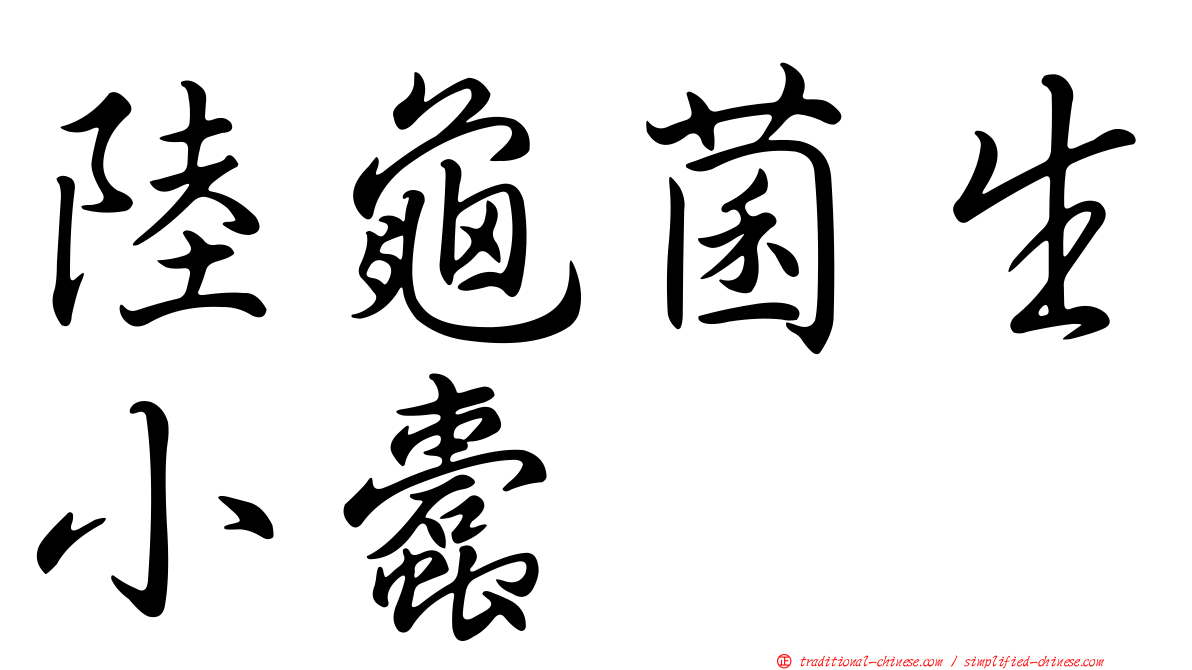 陸龜菌生小蠹