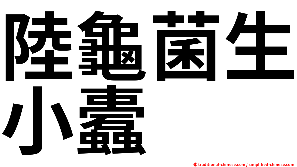 陸龜菌生小蠹