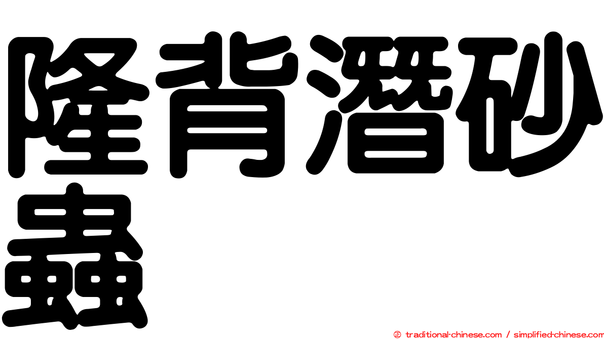 隆背潛砂蟲