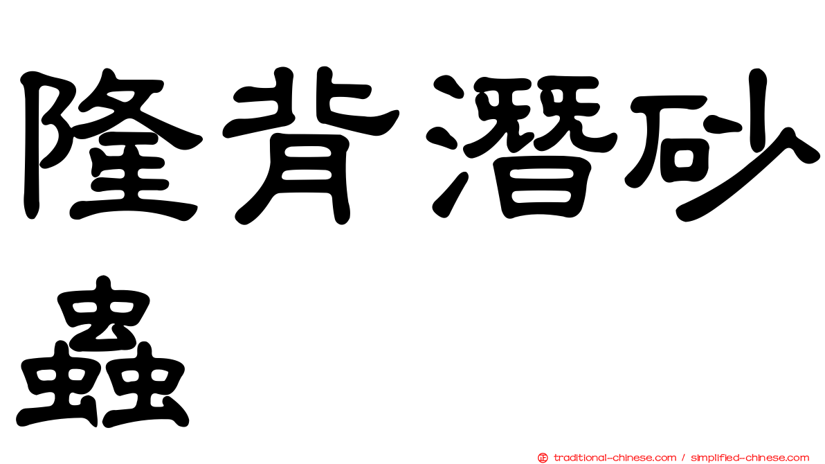 隆背潛砂蟲