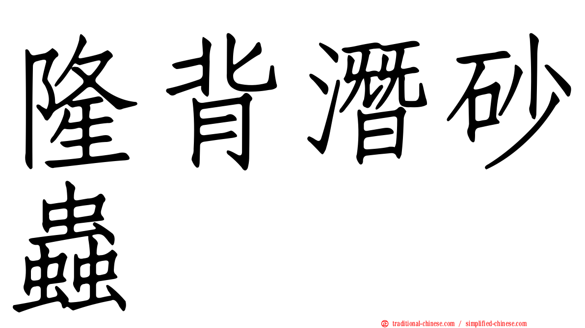 隆背潛砂蟲